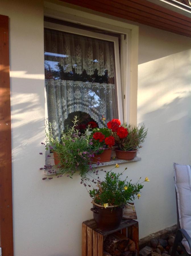 Am Mathildenbrunnen Klein Apartment Quedlinburg Ngoại thất bức ảnh